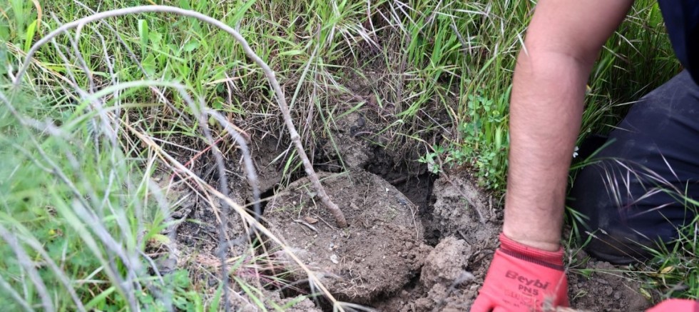 Bin 500 Fidan Toprakla Buluştu