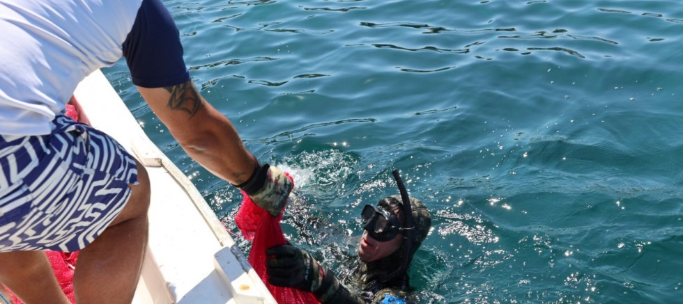 Deniz Dibi Temizliği Yalıkavak'ta Devam Etti