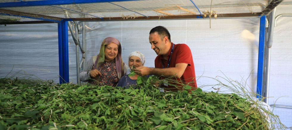 İpekböcekçiliği Yeniden Doğuyor: Ata Mirasına Modern Dokunuş