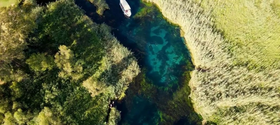 Kadın Azmağı'nda Su Samuru Görüntülendi