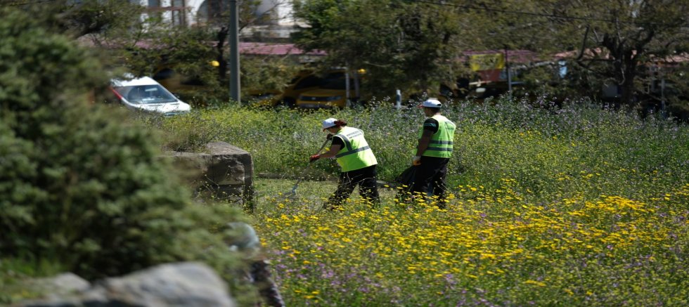 Antik Halikarnassos Surlarında Turizm Haftası Hazırlığı