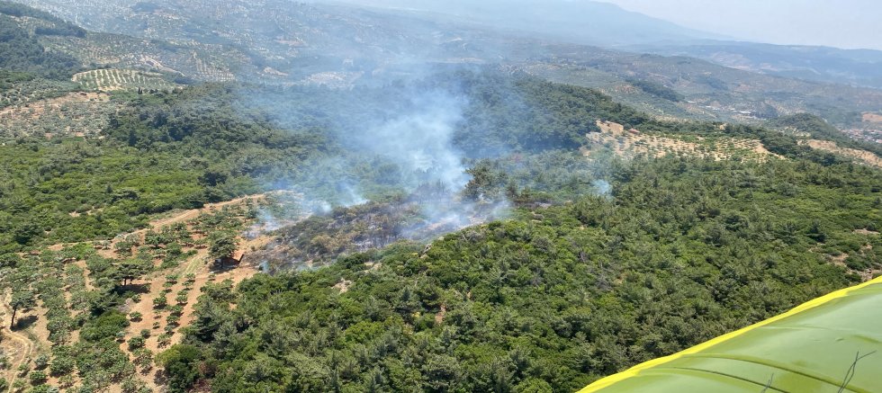 Aydın Germencik’te Orman Yangını Kontrol Altına Alındı