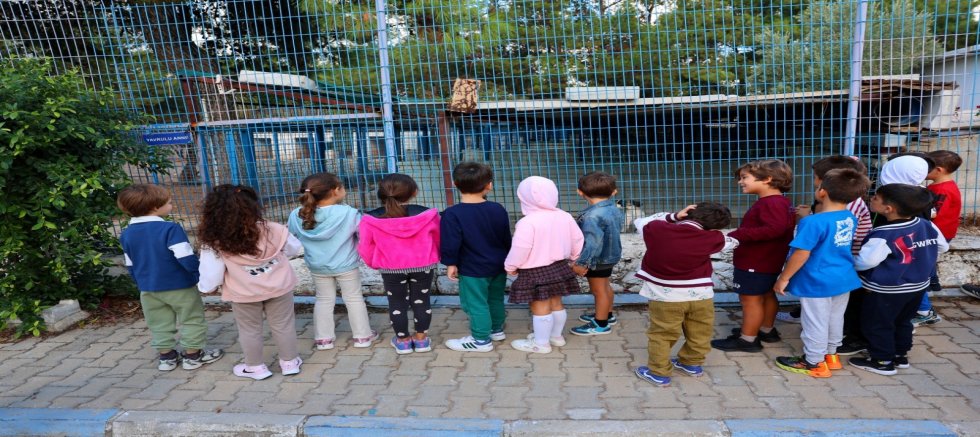 Bodrum Sokaklardaki Dostlarını Unutmuyor
