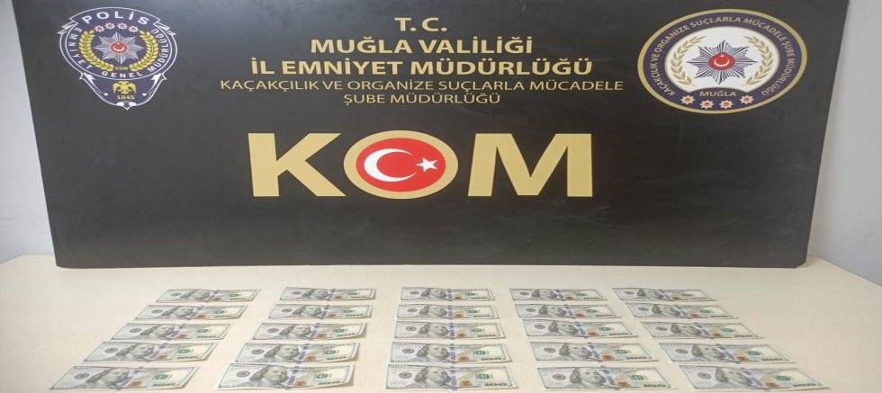 Menteşe’de Sahte Dolar Operasyonu