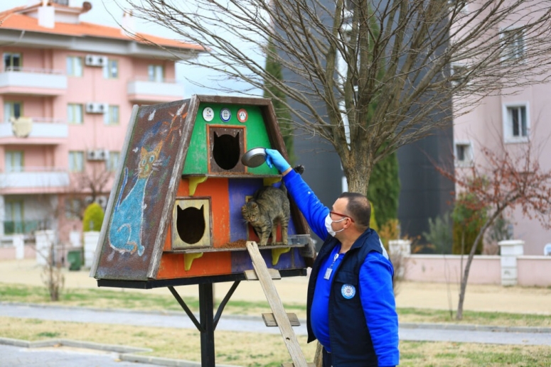 Muğla’da Can Dostlara Mama Desteği Sürüyor