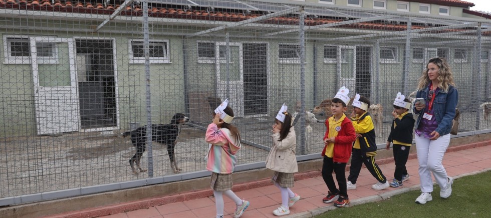 Minik Yürekler Can Dostlarla Buluştu 