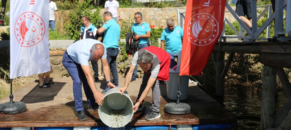Muğla’da 2025 Yılı Balıklandırma Faaliyetleri Devam Ediyor.