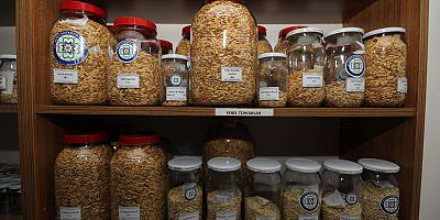  2026 Yılında 4 Milyon Yerel Tohum Dağıtımı Hedefleniyor