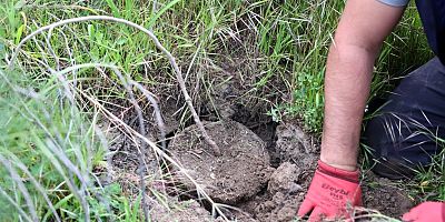 Bin 500 Fidan Toprakla Buluştu