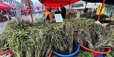 Bodrum’da Acı Ot Festivali Coşkusu Başladı