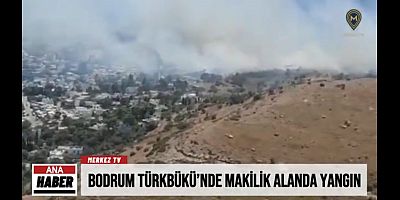 Bodrum Türkbükü’nde Makilik Alanda Yangın