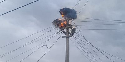 Büyükşehir’den Leylekler İçin Güvenli Yuva