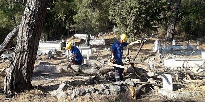 Büyükşehirden Kış Soğuğunda Yürek Isıtan Destek