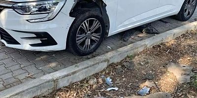 Domuzlar Fethiye'de Oto Parçaladı