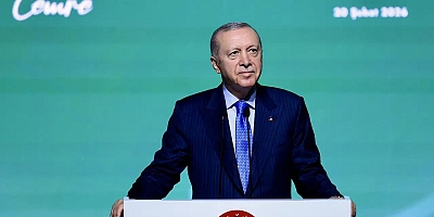 Erdoğan’dan Milas’taki Zeytin Kesimine Tepki: “Fırsat Vermeyeceğiz”