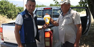 Feromon Tuzaklarla Zararlıya Karşı Doğal Mücadele