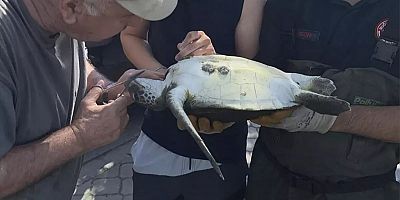 Fethiye'de İtfaiye Ekipleri Caretta Caretta'yı Kurtardı