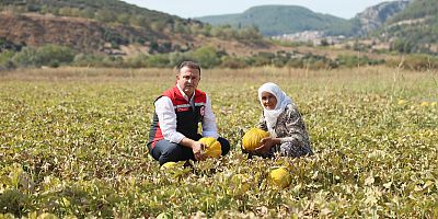  Karabağlar Yaylasında Doğa ve Tarım İç İçe