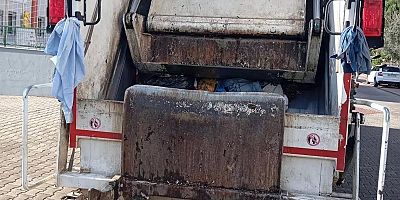 Marmaris'te Belediyesi çöp kamyonunun çarptığı kadın öldü