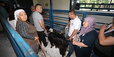 Mezbahalar Bayramda Tam Kapasite Çalıştı 