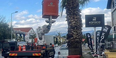 Muğla’da Ağaçlara Gençlik Aşısı: Hem Doğa Hem Güvenlik İçin Budama