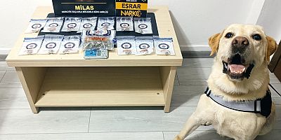 MUĞLA İL EMNİYET MÜDÜRLÜĞÜ 