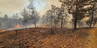 Muğla İtfaiyesi Milas ve Köyceğiz’de Alevlerle Mücadelede
