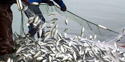 Muğla Su Ürünleri İhracatı İki Katına Çıktı