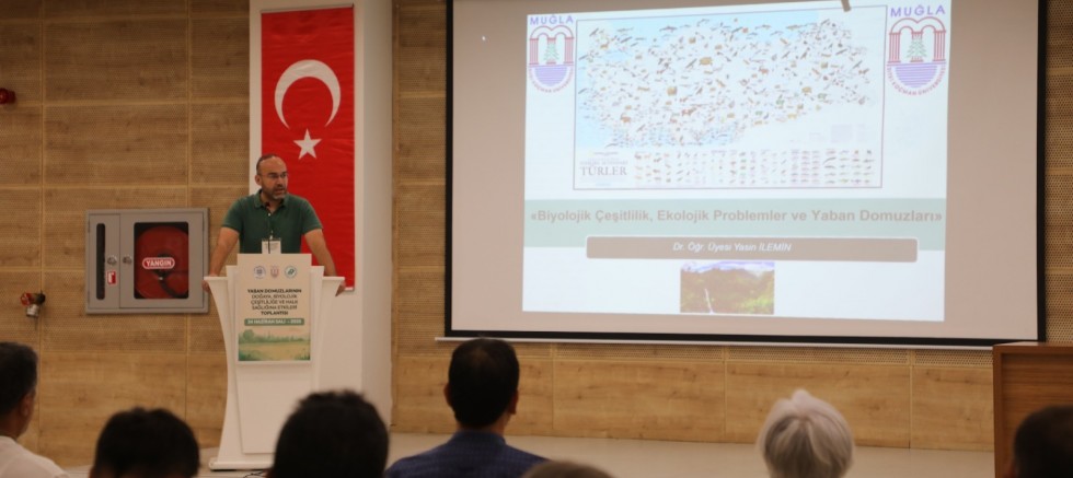 Yaban Domuzlarının Ekosistem ve Halk Sağlığına Etkileri Muğla’da Masaya Yatırıldı