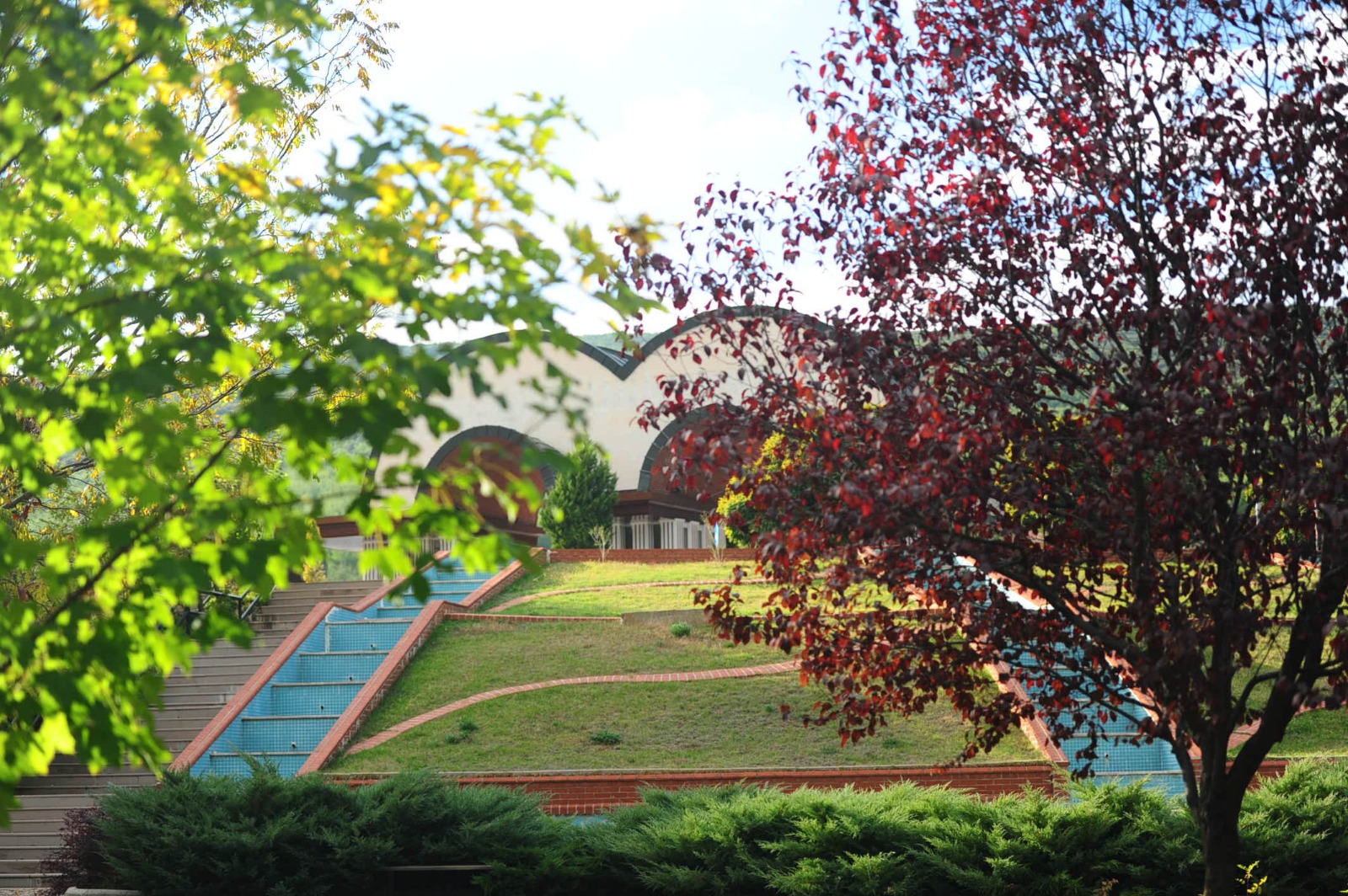 MSKÜ, UI GreenMetric Dünya Sıralamasında 87 Basamak Yükseldi