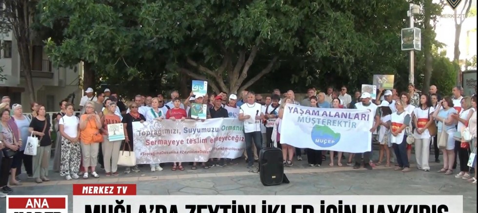 Muğla’da Zeytinlikler İçin Haykırış