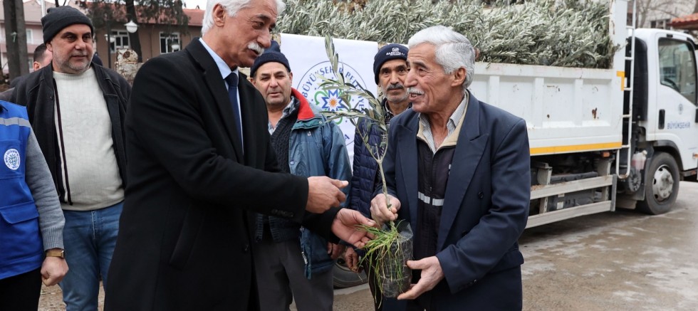 Ula’da Üreticiye Zeytin ve Ceviz Fidanı Desteği